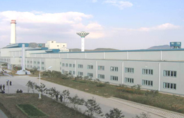 朝鲜大安友谊玻璃厂300t/d浮法玻璃生产线